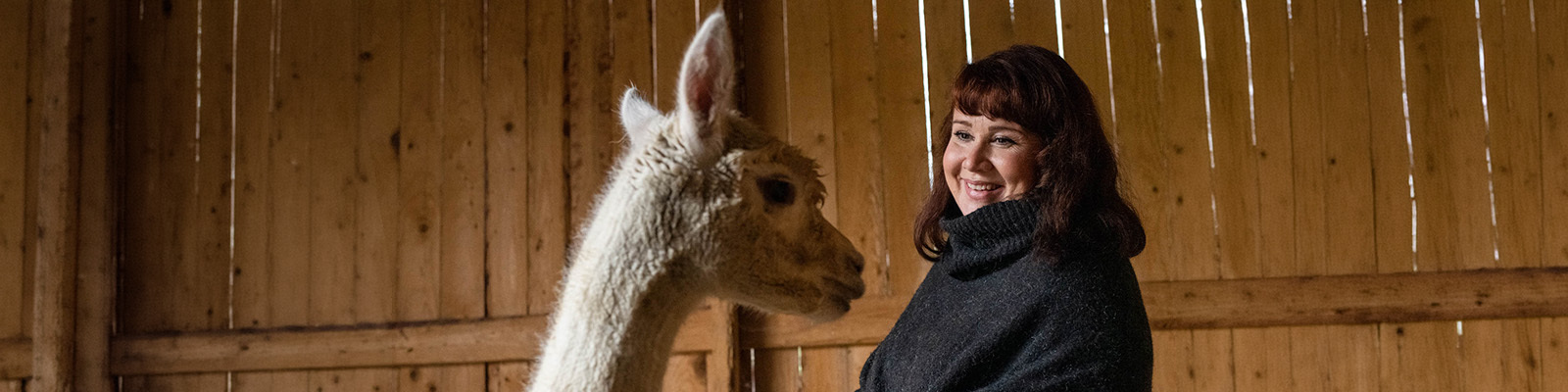Hymyilevä nainen alpakan kanssa